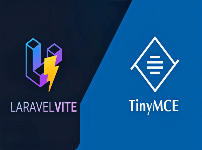 Integrating TinyMCE in Laravel 10 using Vite