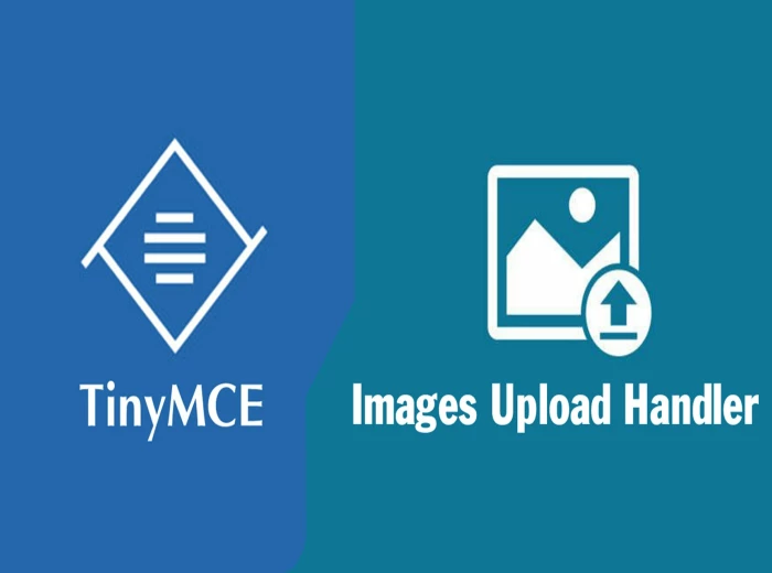 Laravel TinyMCE 6 Image Upload