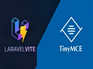 Integrating TinyMCE in Laravel 10 using Vite